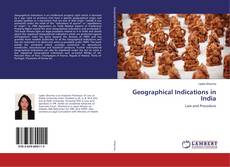 Buchcover von Geographical Indications in India