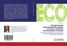 Buchcover von Загрязнение окружающей среды ртутью, методы утилизации отходов