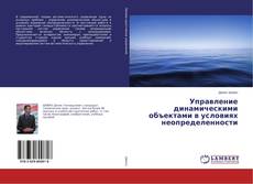 Buchcover von Управление динамическими объектами в условиях неопределенности