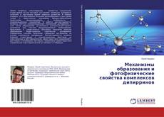 Buchcover von Механизмы образования и фотофизические свойства комплексов дипирринов