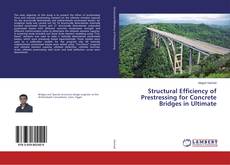 Copertina di Structural Efficiency of Prestressing for Concrete Bridges in Ultimate