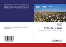 Buchcover von Wild Cotton in Egypt