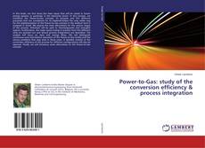 Copertina di Power-to-Gas: study of the conversion efficiency & process integration