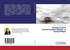Copertina di Синергетика коэволюции микро- и макромира