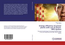 Copertina di Energy efficiency of power plants with use of Smart-MES System