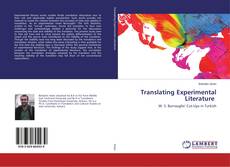 Buchcover von Translating Experimental Literature