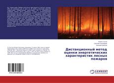 Copertina di Дистанционный метод оценки энергетических характеристик лесных пожаров