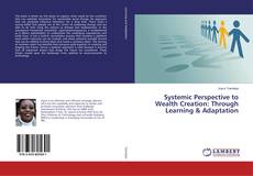Buchcover von Systemic Perspective to Wealth Creation: Through Learning & Adaptation