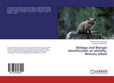 Copertina di Biology and Biotype identification of whitefly, Bemisia tabaci