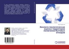 Bookcover of Эколого-геологическая оценка территории полигонов бытовых отходов