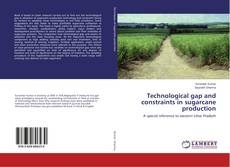 Copertina di Technological gap and constraints in sugarcane production