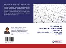 Copertina di Устойчивость многокритериальной задачи о максимальном разрезе графа