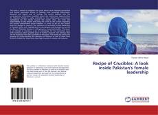 Buchcover von Recipe of Crucibles: A look inside Pakistan's female leadership