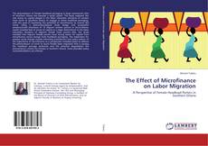 Copertina di The Effect of Microfinance on Labor Migration