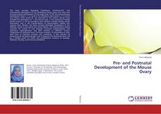 Copertina di Pre- and Postnatal Development of the Mouse Ovary