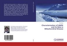 Copertina di Characterisation of AMPK and Its Role in Mitochondrial Disease