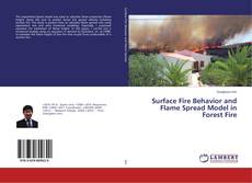 Buchcover von Surface Fire Behavior and Flame Spread Model in Forest Fire
