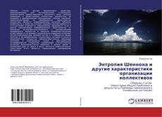 Copertina di Энтропия Шеннона и другие характеристики организации коллективов