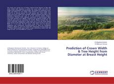 Buchcover von Prediction of Crown Width & Tree Height from Diameter at Breast Height