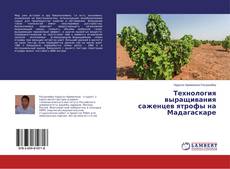 Buchcover von Технология выращивания саженцев ятрофы на Мадагаскаре