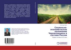 Buchcover von Социально-экономическое положение Черниговщины в составе России