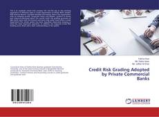 Buchcover von Credit Risk Grading Adopted by Private Commercial Banks