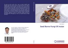 Copertina di Seed Borne Fungi Of maize
