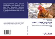 Copertina di Spleen, Thymus and Caecal Tonsil in Chicken
