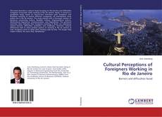 Copertina di Cultural Perceptions of Foreigners Working in Rio de Janeiro