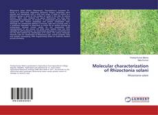 Copertina di Molecular characterization of Rhizoctonia solani