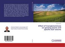 Copertina di Effect of transglutaminase on gassing power and specific loaf volume