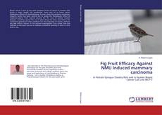 Copertina di Fig Fruit Efficacy Against NMU induced mammary carcinoma