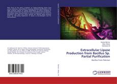 Copertina di Extracellular Lipase Production from Bacillus Sp. Partial Purification