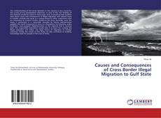 Copertina di Causes and Consequences of Cross Border Illegal Migration to Gulf State