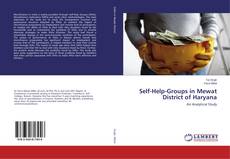 Self-Help-Groups in Mewat District of Haryana kitap kapağı