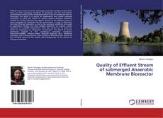 Copertina di Quality of Effluent Stream of submerged Anaerobic Membrane Bioreactor
