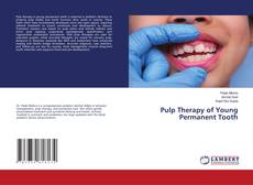 Couverture de Pulp Therapy of Young Permanent Tooth