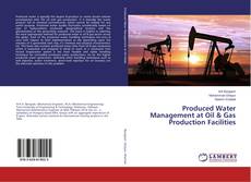 Buchcover von Produced Water Management at Oil & Gas Production Facilities
