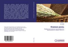 Buchcover von Озимая рожь