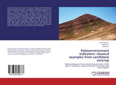 Copertina di Paleoenvironment indicators: classical examples from sandstone outcrop