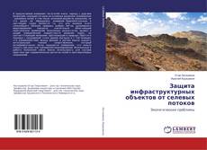 Buchcover von Защита инфраструктурных объектов от селевых потоков