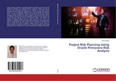 Buchcover von Project Risk Planning Using Oracle Primavera Risk Analysis