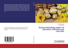 Copertina di Drying technology tubers of jerusalem artichoke and rose hips