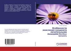 Buchcover von Особенности окисления сукцината летательными мышцами Bombus terrestris