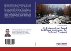 Copertina di Hydrodynamics of Gravel Bed Flows: Implications for Sediment Transport