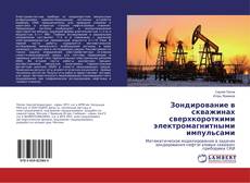 Bookcover of Зондирование в скважинах сверхкороткими электромагнитными импульсами