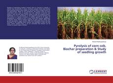 Portada del libro de Pyrolysis of corn cob, Biochar preparation & Study of seedling growth