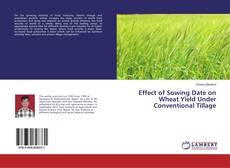 Buchcover von Effect of Sowing Date on Wheat Yield Under Conventional Tillage