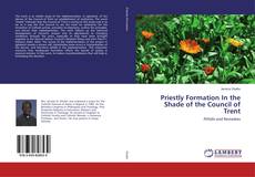 Buchcover von Priestly Formation In the Shade of the Council of Trent