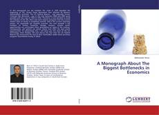Copertina di A Monograph About The Biggest Bottlenecks in Economics